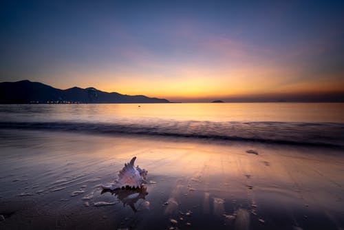 夏目的美麗日記交易吧