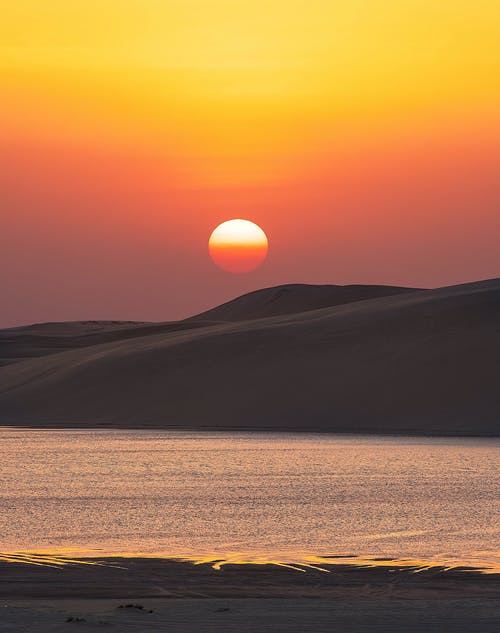 玄幻之我真不想賣(mài)藝啊小說(shuō)唐軒陸青鸞無(wú)廣告閱讀