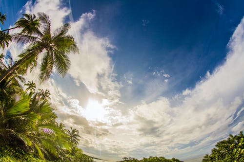 楚鋒末世重生小說(shuō)作者煙頭作品全章節閱讀