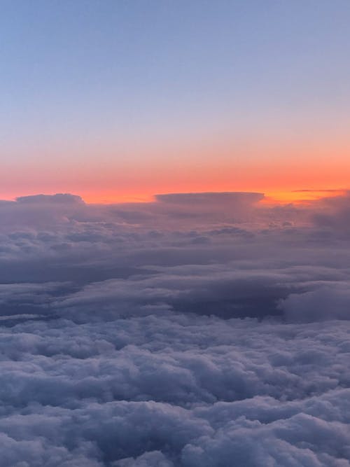 最新重陽(yáng)節短信祝福語(yǔ)