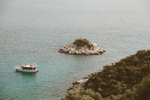 五年級童話(huà)寓言作文草的夢(mèng)想