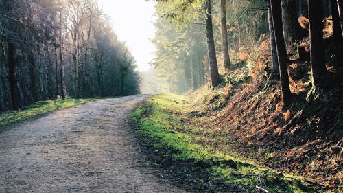 訂婚宴上男方父母祝福語(yǔ)