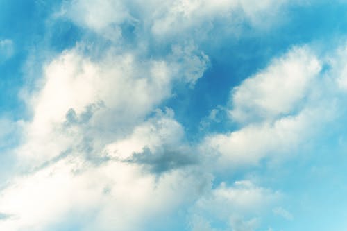 高冷紀先生太纏人豪門(mén)小說(shuō)紀辰凌白汐無(wú)廣告閱讀 高冷紀先生太纏人豪門(mén)小說(shuō)紀辰凌白汐無(wú)廣告閱讀