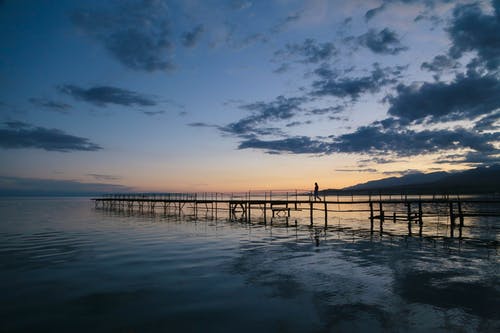 神醫豪婿小說(shuō)逆襲蘇浩葉清秋章節閱讀