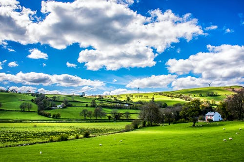 逆襲簽到百年我劍斬仙人小說(shuō)葉南白薇薇無(wú)刪減閱讀