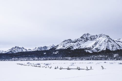 五年級敘事作文蟲(chóng)子