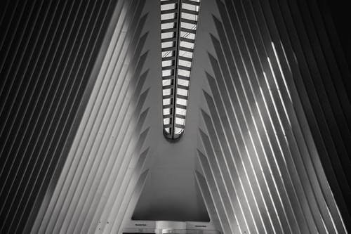 成長(cháng)的詩(shī)歌，是最好的禮物作文