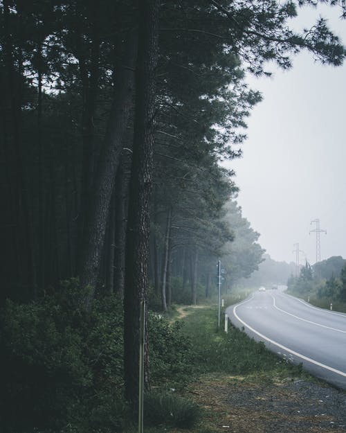 奇幻黑皇葉靈兒小說(shuō)重回大三的林寒章節閱讀