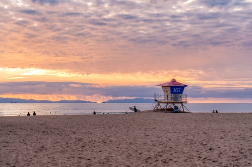 都市絕世帝君林塵小說(shuō)男頻寧欣然章節閱讀