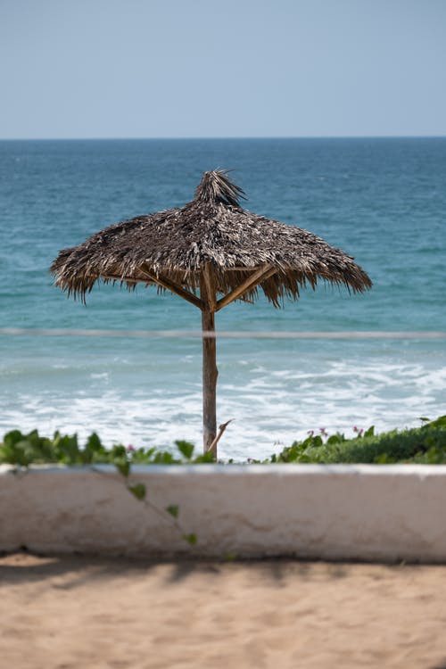 觀(guān)《一個(gè)獨生女的故事》有感