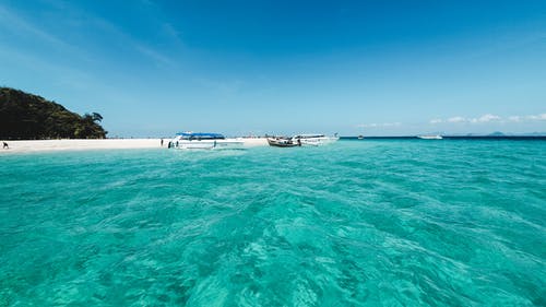 美女與野獸經(jīng)典臺詞