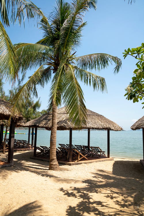 男頻神醫戰婿小說(shuō)蕭云趙靈兒全本閱讀