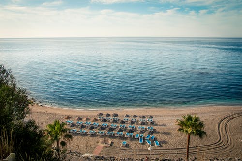 愛(ài)原來(lái)是放不下小說(shuō)夏楚楚蕭武玹全文閱讀