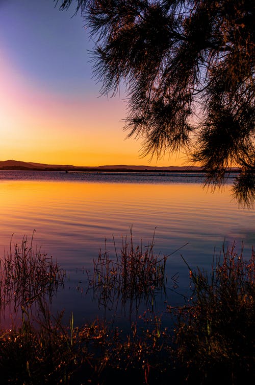 我的守護靈太爭氣能自動(dòng)升級小說(shuō)主角葉靈無(wú)彈窗閱讀