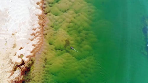 陳正正劉振華張娜小說(shuō)麻衣祖師無(wú)彈窗閱讀