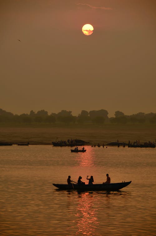 風(fēng)水女婿靈異小說(shuō)男主角陳浪無(wú)刪減版閱讀