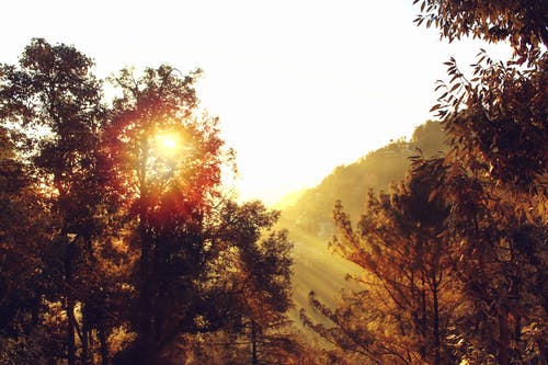 一代宗師小說(shuō)連載中江辰林雪兒無(wú)廣告閱讀 一代宗師小說(shuō)連載中江辰林雪兒無(wú)廣告閱讀