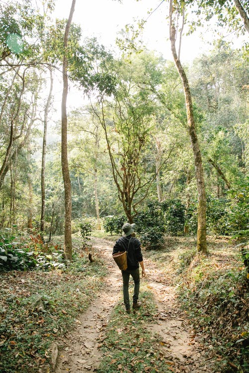 描寫(xiě)春節的日記