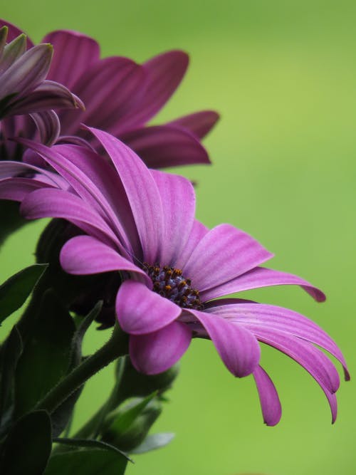 我真不是道師小說(shuō)異世界陳道師白秋山全集閱讀