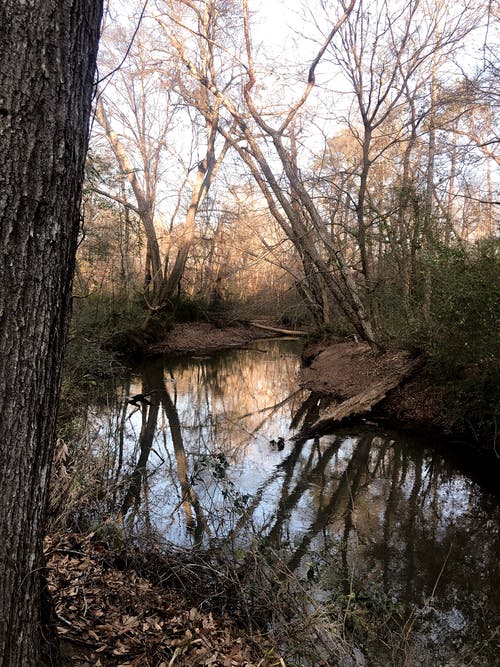 寫(xiě)作基礎：文無(wú)定法“出彩”有招 