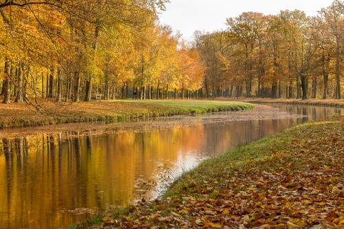 玄幻西游之逆回混沌小說(shuō)主角朱溫無(wú)彈窗閱讀