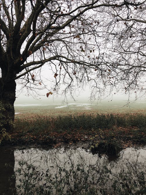 描寫(xiě)喜愛(ài)大海美麗的詩(shī)歌