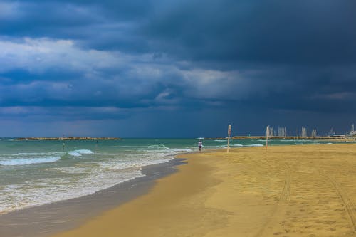 精選的情人節短語(yǔ)