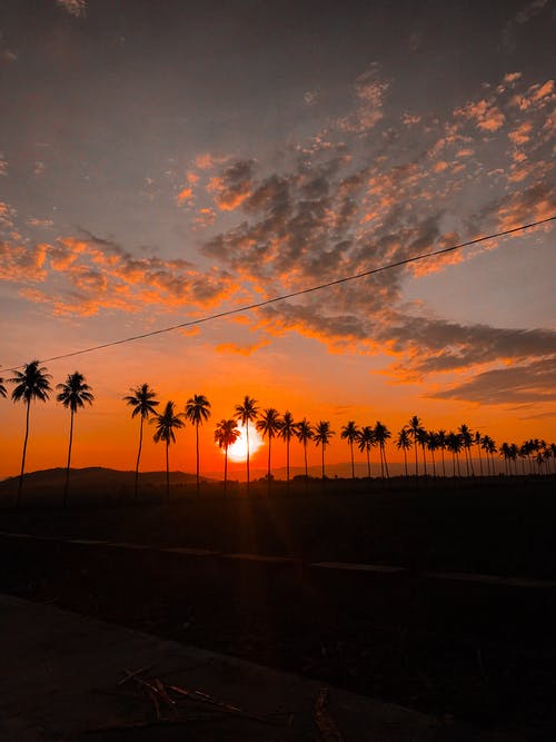 精品我有神豪系統小說(shuō)主角高陽(yáng)全章節閱讀