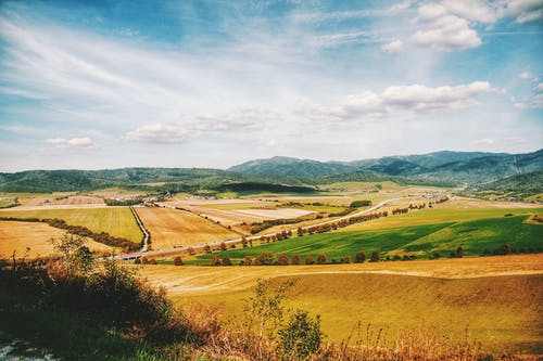 第一個(gè)人類(lèi)小說(shuō)新書(shū)趙風(fēng)王燕章節閱讀