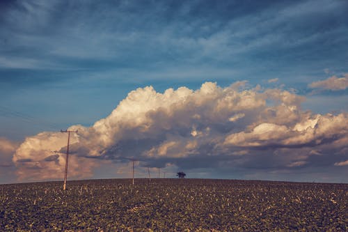 催眠大師經(jīng)典臺詞