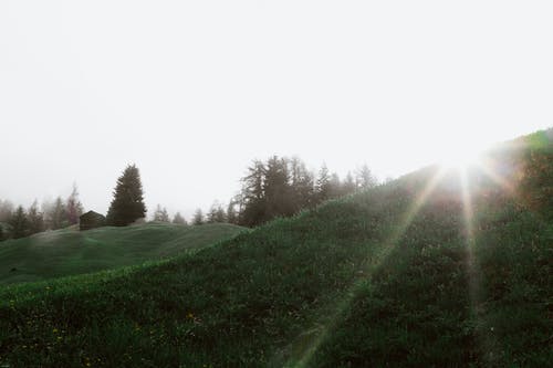 莊少的小孕妻又兇又甜小說(shuō)寵文顧挽莊浩辰搶先閱讀 莊少的小孕妻又兇又甜小說(shuō)寵文顧挽莊浩辰搶先閱讀