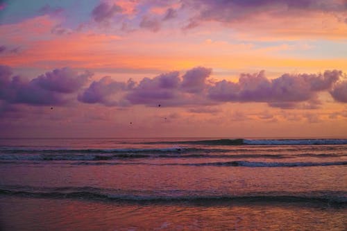 麻衣逆命小說(shuō)無(wú)彈窗李魚(yú)蔣聽(tīng)樓全文閱讀