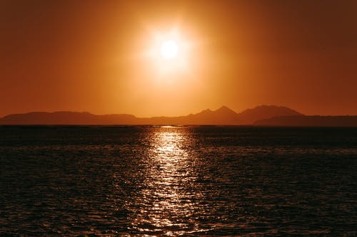 都市愛(ài)情不分早晚小說(shuō)顧昱城沈語(yǔ)沐完整版閱讀