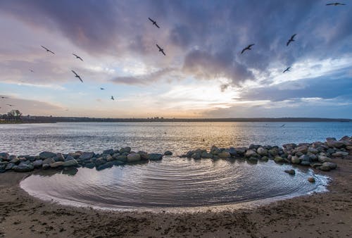 都市林向陽(yáng)許嘉晴小說(shuō)百億豪婿在線(xiàn)閱讀