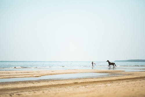 人教版五年級上冊六單元作文父母的愛(ài)(33) 人教版五年級上冊六單元作文父母的愛(ài)(33)