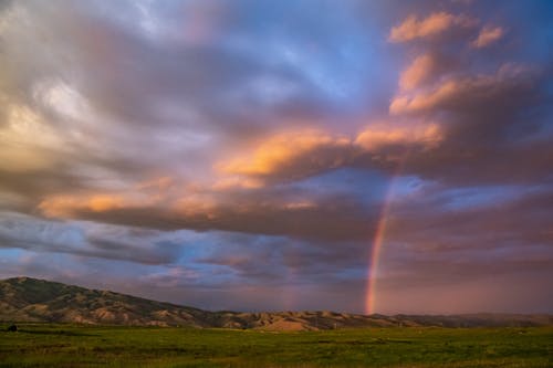 五年級想象作文聯(lián)歡會(huì )