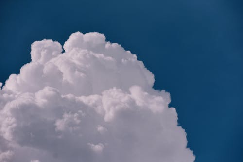 詩(shī)句作文匯編六篇