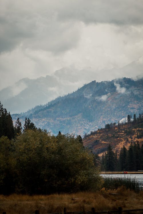 【熱門(mén)】二年級日記模板匯編八篇