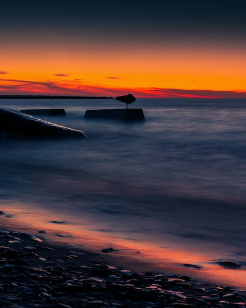 祝自己生日祝福語(yǔ)短語(yǔ)