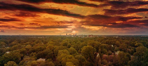 寫(xiě)給同學(xué)的高考祝福語(yǔ)大全