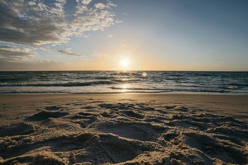 全世界都等著(zhù)我們結婚小說(shuō)木桐利澤野甜寵章節閱讀