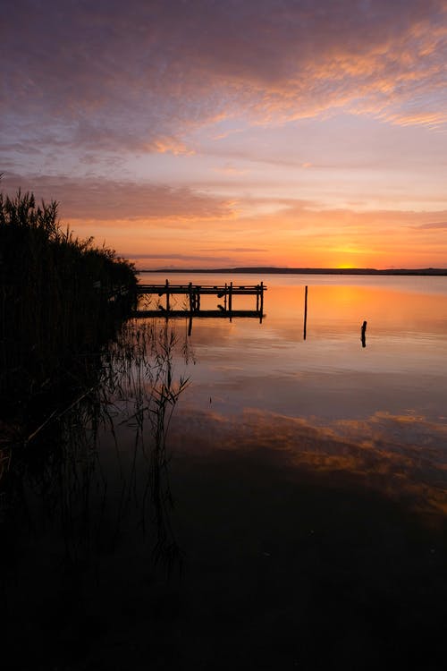 神眼邪醫小說(shuō)by天下江水張和安蕭幼晴目錄閱讀