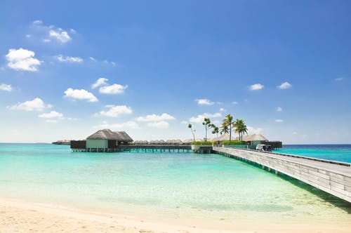 回魂夜小說(shuō)張十三陳二毛無(wú)刪減版閱讀