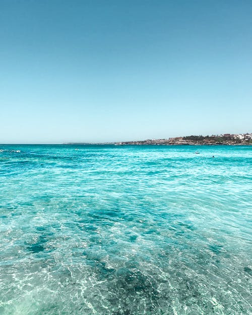 爽文都市絕代戰神小說(shuō)唐毅陸芷菱無(wú)錯版閱讀