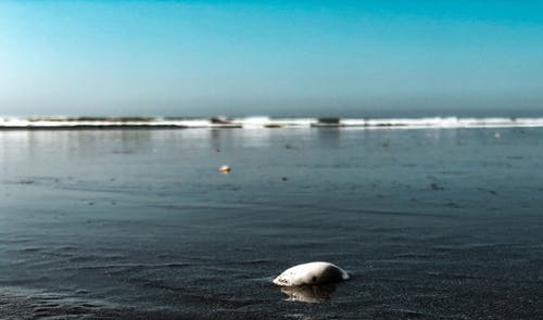 世上最疼我的那個(gè)人去了感恩勵志