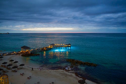 熱門(mén)絕世醫帥小說(shuō)秦川沈欣蘭無(wú)彈窗閱讀