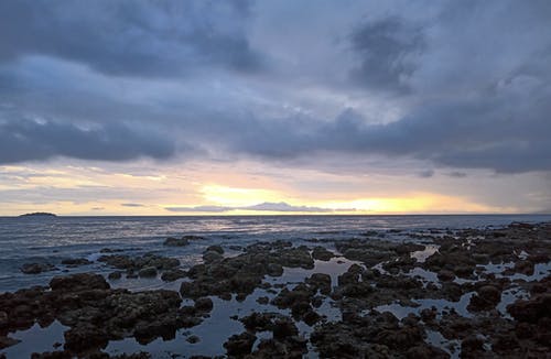 絕品高手在都市小說(shuō)林羽蕭淑雅無(wú)廣告閱讀