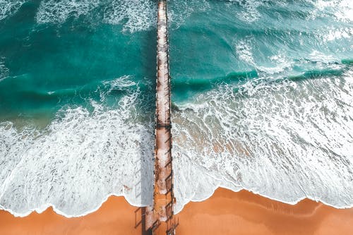 讀書(shū)隨筆作文850字