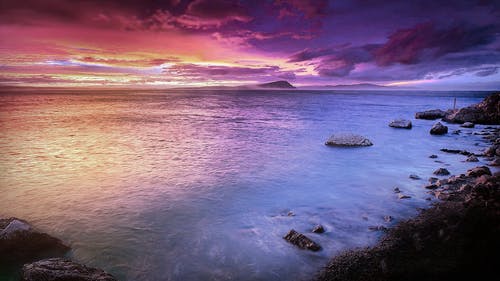 絕世醫婿奶爸小說(shuō)陳安年楊靈兒在線(xiàn)閱讀