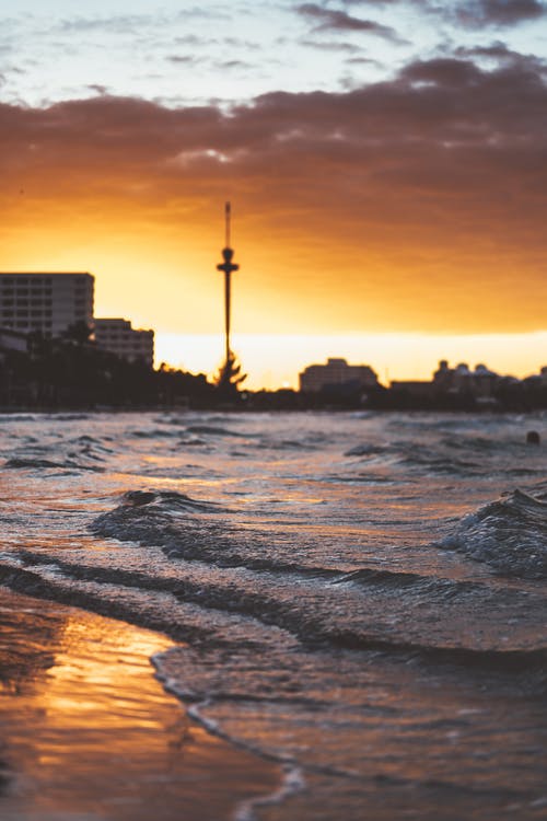 第一龍王小說(shuō)爽文陳楓林初然在線(xiàn)閱讀